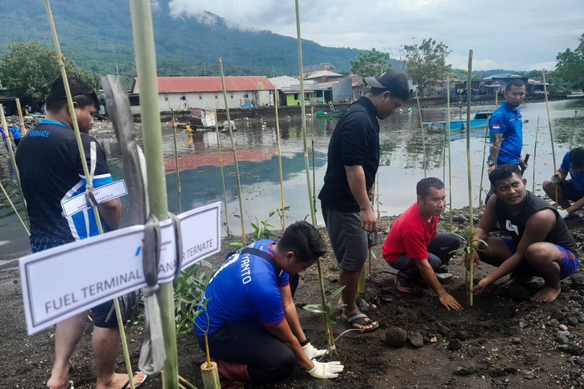BPBD Ternate bangun talut untuk antisipasi abrasi di kawasan  pesisir