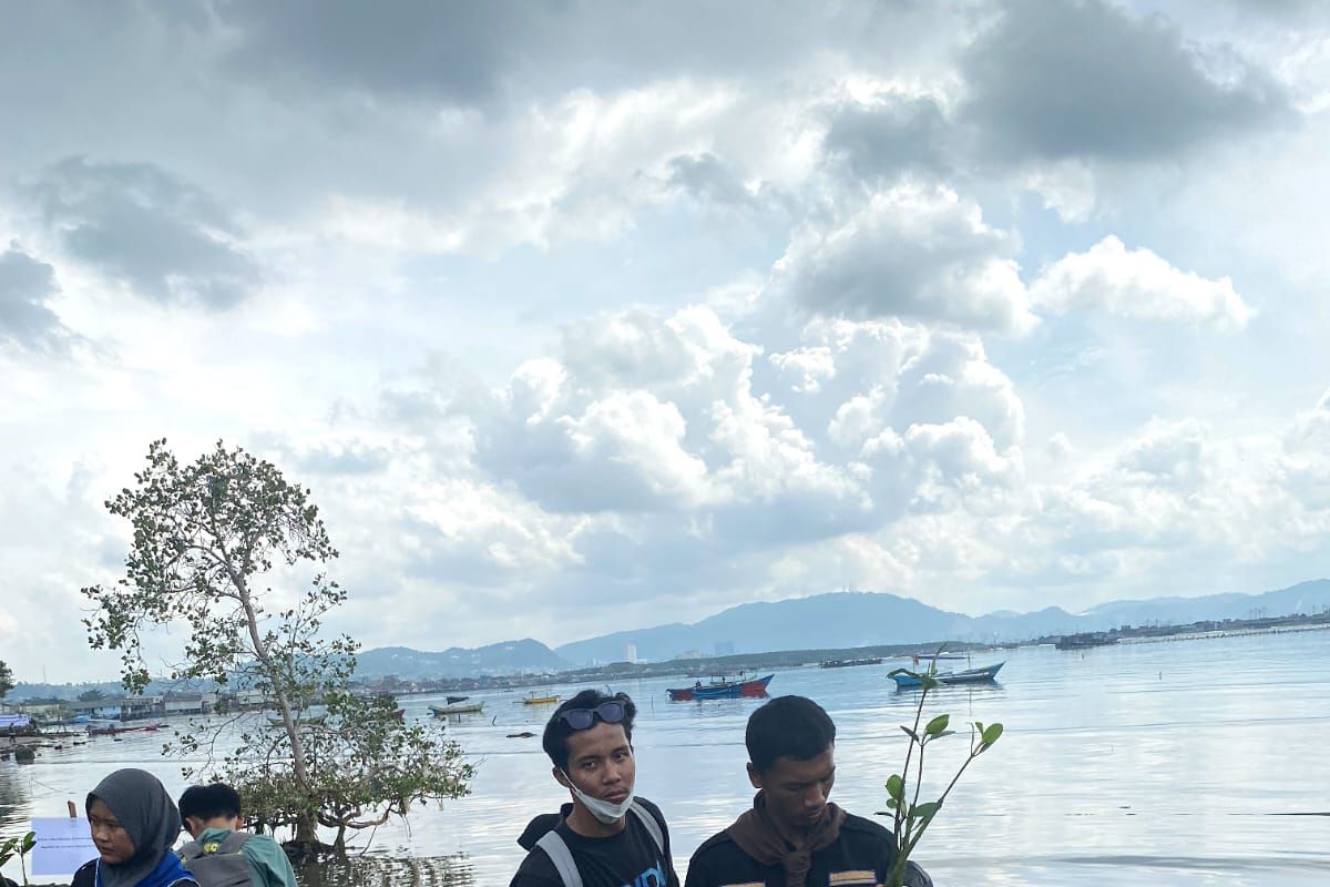 Siswa pecinta alam di Lampung gelar aksi bersih pantai dan tanam 1.000 bibit pohon mangrove