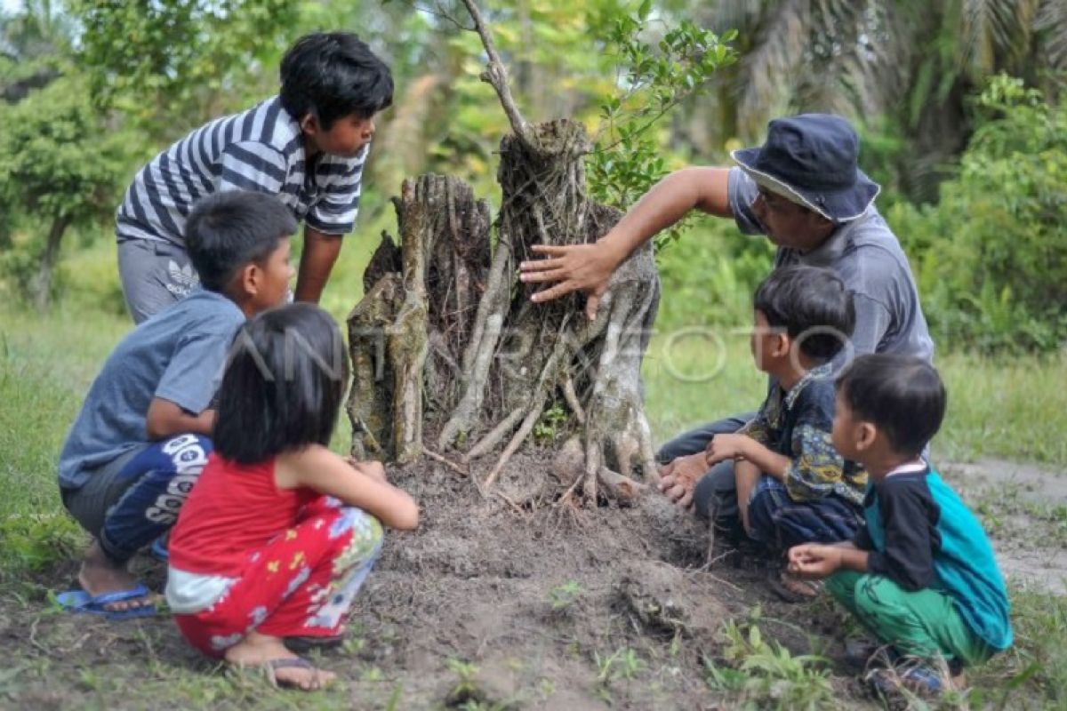 Sekolah alam berbasis kearifan lokal dan konservasi