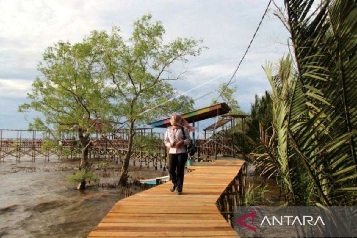 Gemawan dan AJI Pontianak kampanye cinta mangrove untuk generasi muda