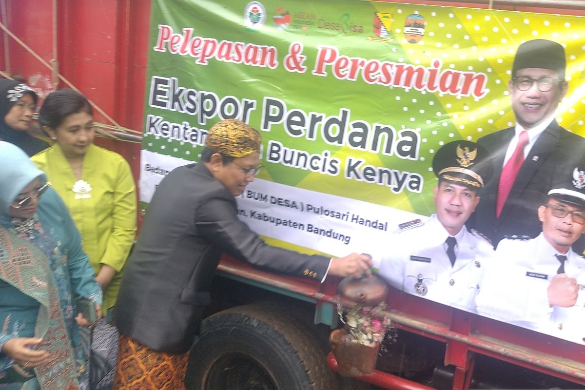 Mendes PDTT lepas ekspor perdana kentang BUMDes Pulosari Handal