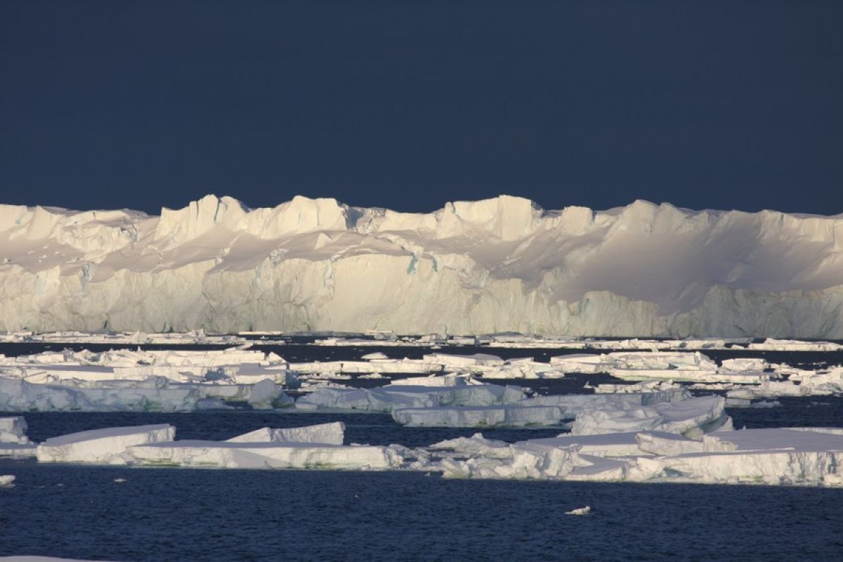 Penelitian: El Nino dapat sebabkan Antarktika mencair