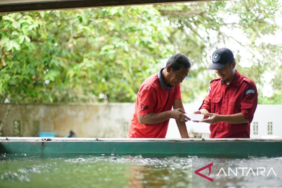 CBIB-CPIB tingkatkan kompetensi pengajar di KKP