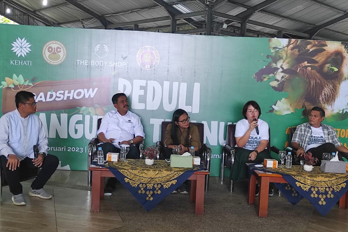 Orangutan Tapanuli menambah koleksi simbol keanekaragaman hayati Nusantara