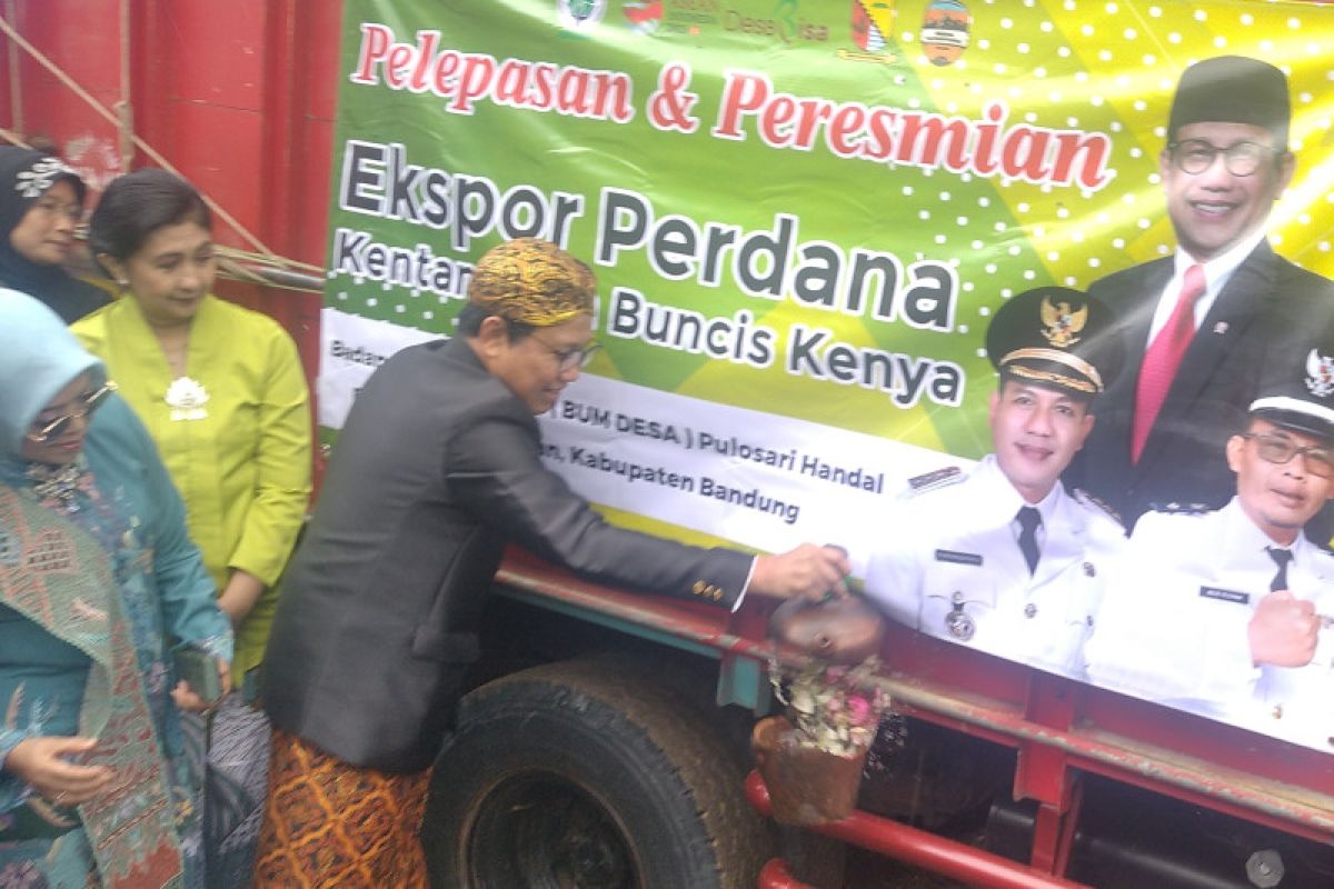 Sukses BUM Desa Pulosari tembus pasar Singapura