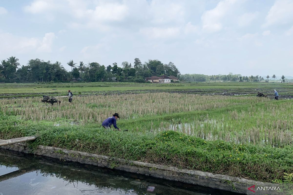 Pemkab Malang dorong penggunaan biosaka tingkatkan produksi pertanian