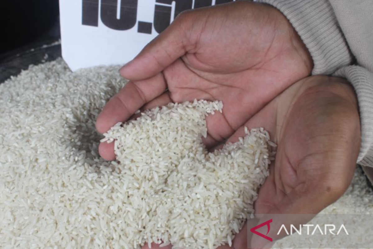 Harga beras di Flores Timur melonjak capai Rp800.000/karung