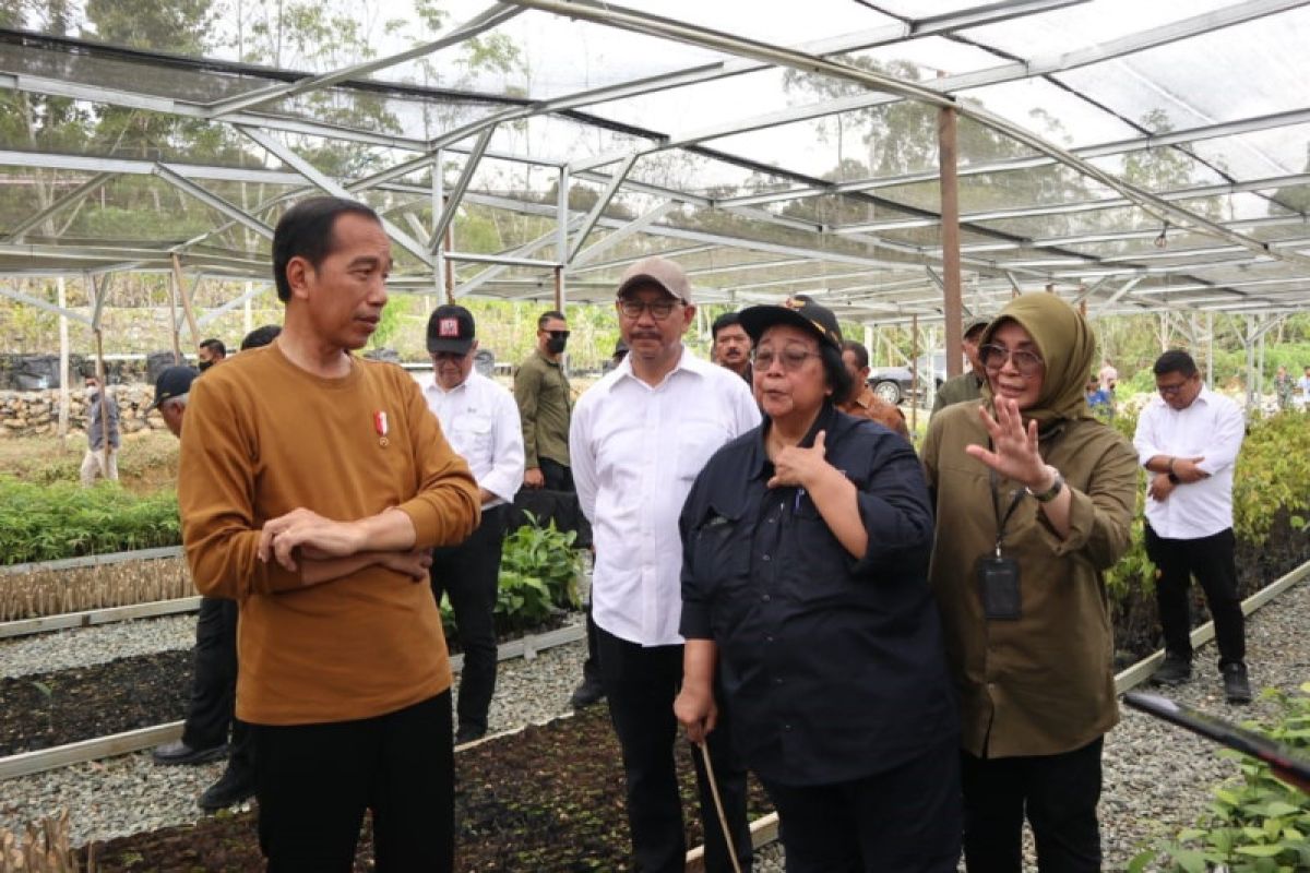 Presiden Jokowi: Pusat pembibitan dukung konsep 