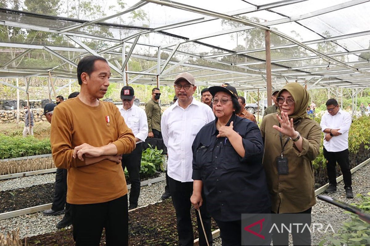 Presiden: Pusat pembibitan dukung konsep "green city" IKN