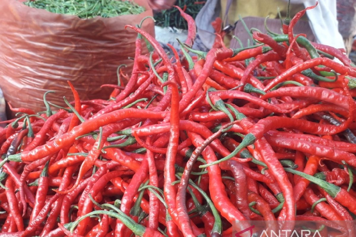 Harga bahan pokok di sejumlah pasar di Medan stabil