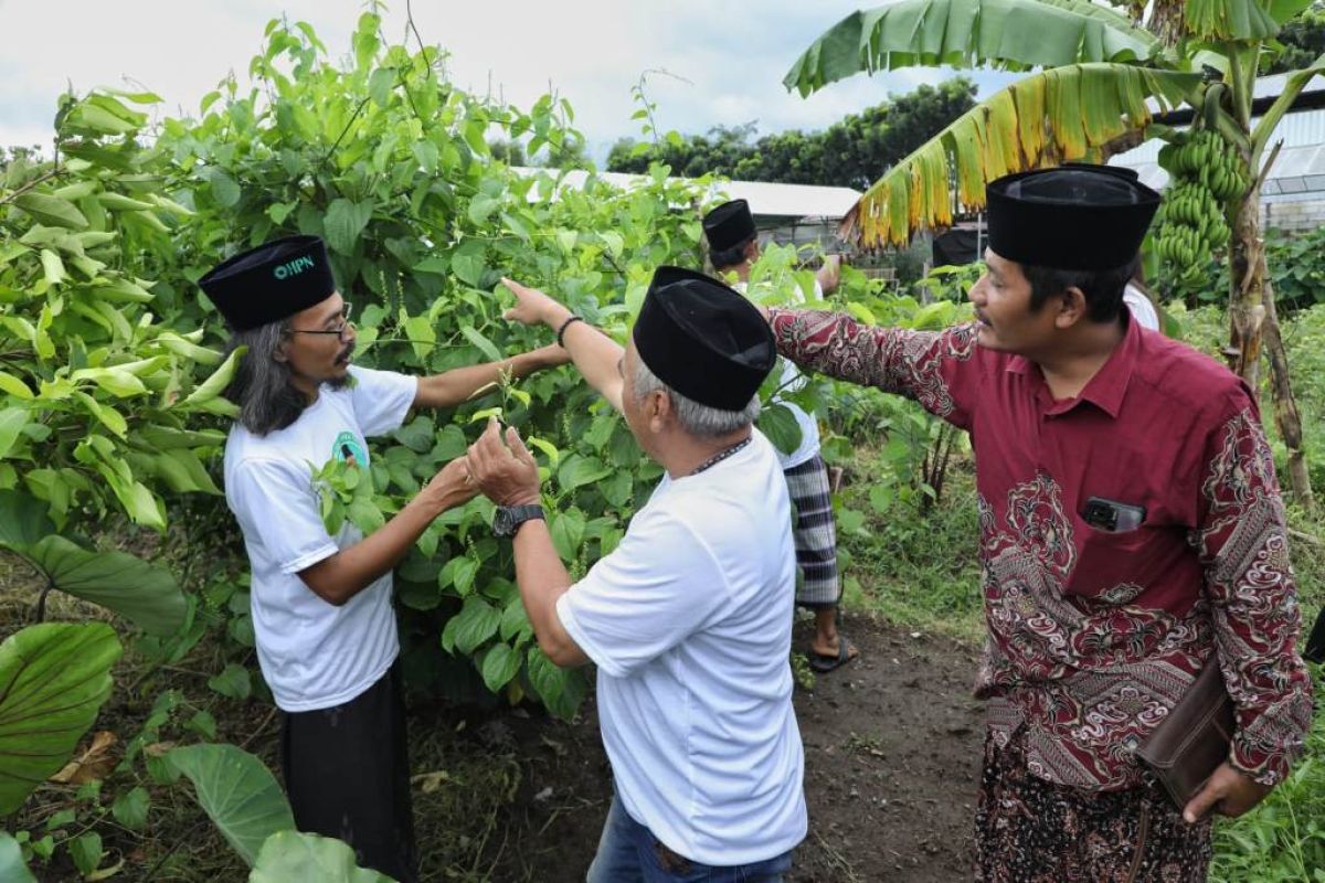 Relawan KMJT komitmen ajak perkuat ekonomi dan ketahanan pangan lingkungan ponpes