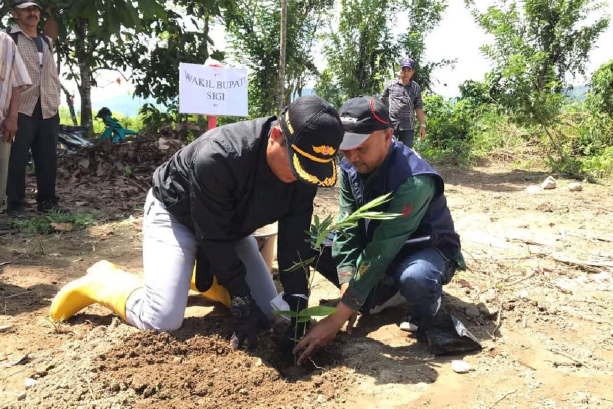 Sigi manfaakaan bambu sebagai bronjong penahan banjir