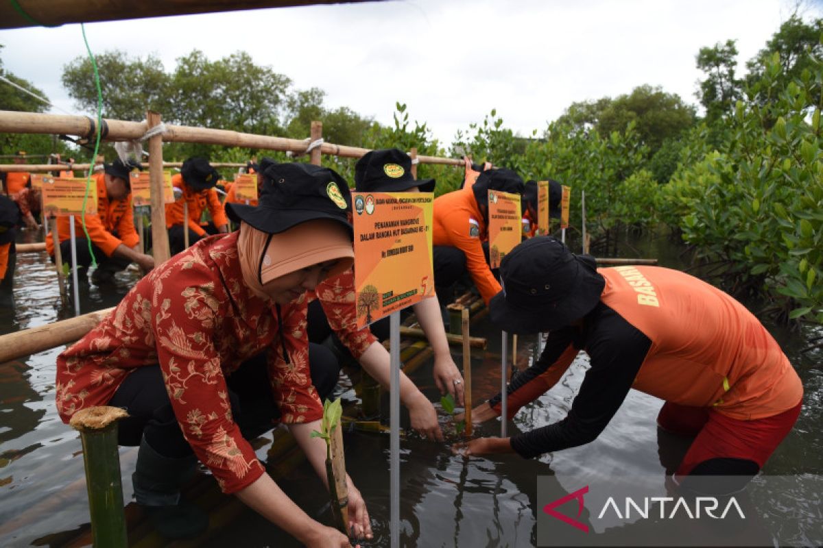 Basarnas tanam 1.000 bibit mangrove di Tanjung Pasir Tangerang
