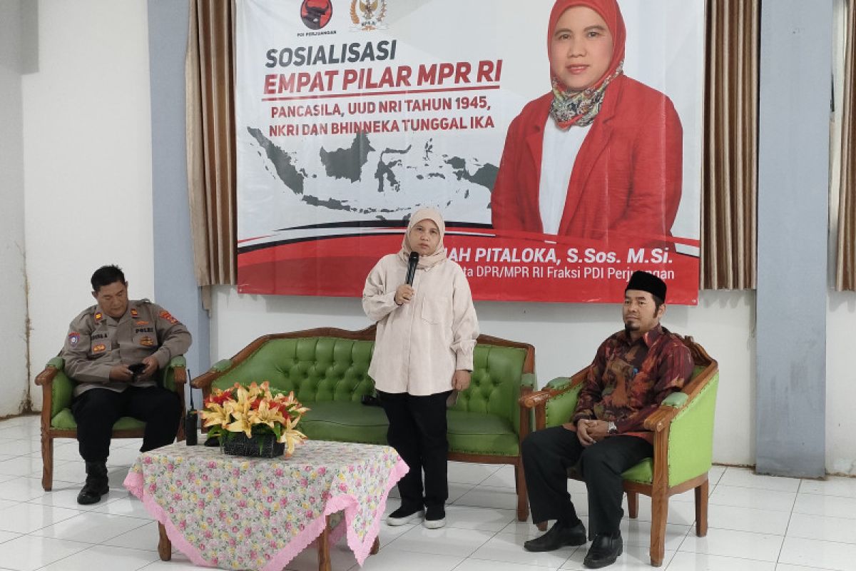 Anggota MPR: Strategi kebudayaan penting untuk menumbuhkan ekonomi