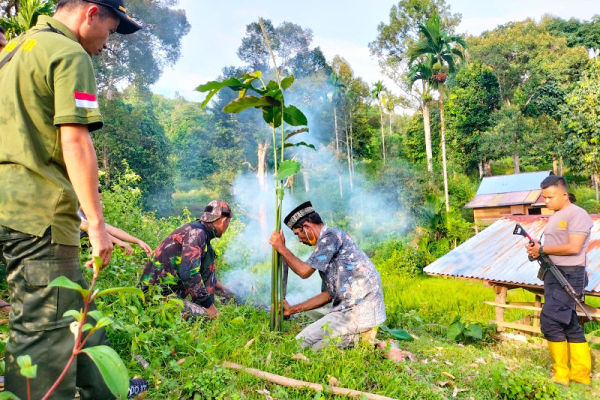 BKSDA datangkan pawang harimau ke Aceh Jaya