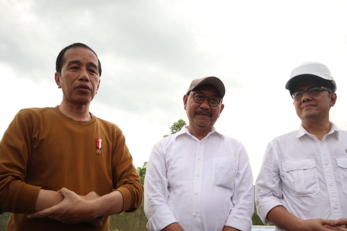 Jokowi pastikan Perry Warjiyo dicalonkan kembali jadi Gubernur BI