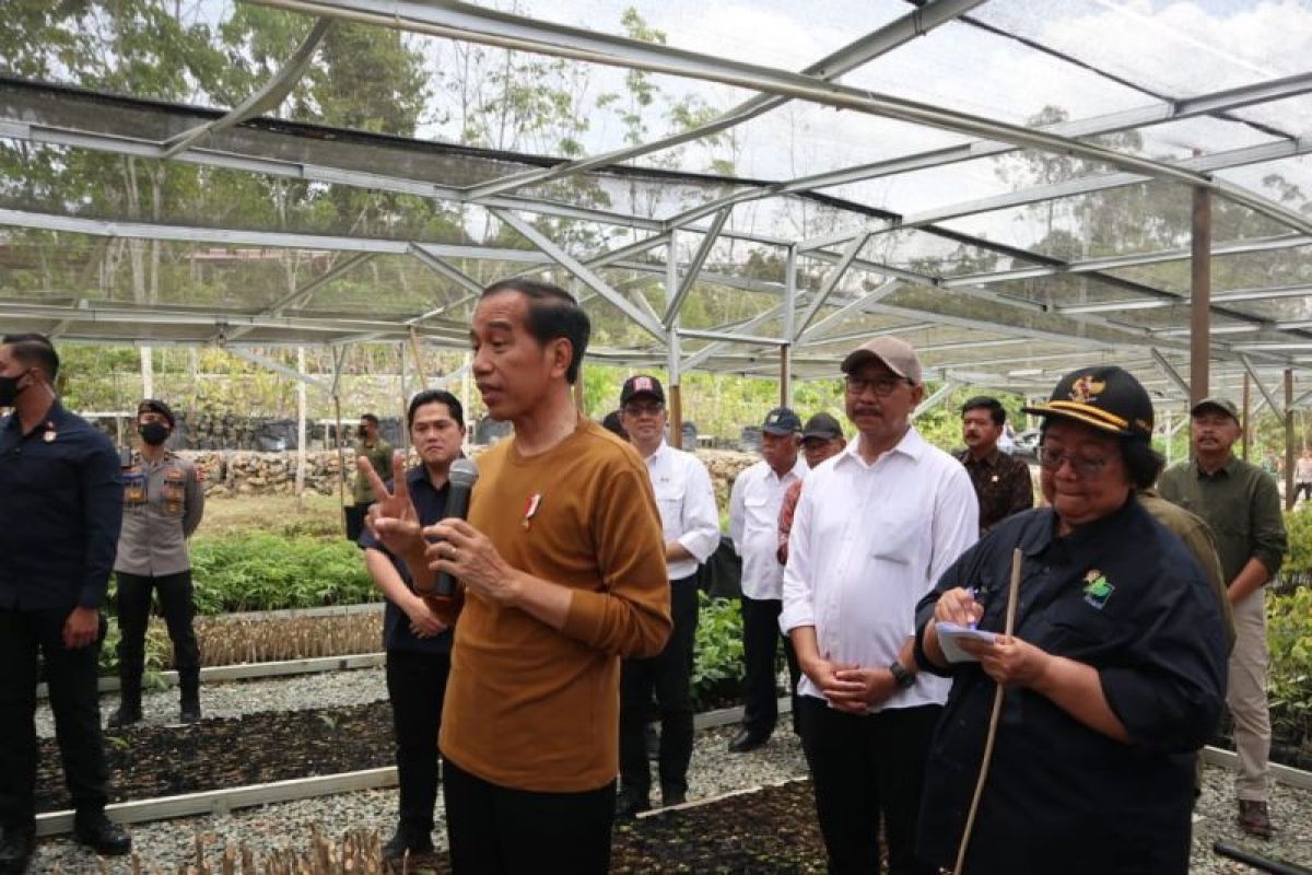 Presiden Jokowi ajak wartawan Istana Kepresidenan ke Persemaian Mentawir IKN