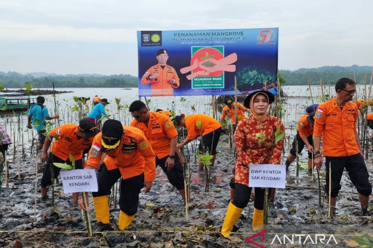 Basarnas Kendari tanam 500 bibit mangrove untuk merehabilitasi kawasan pesisir