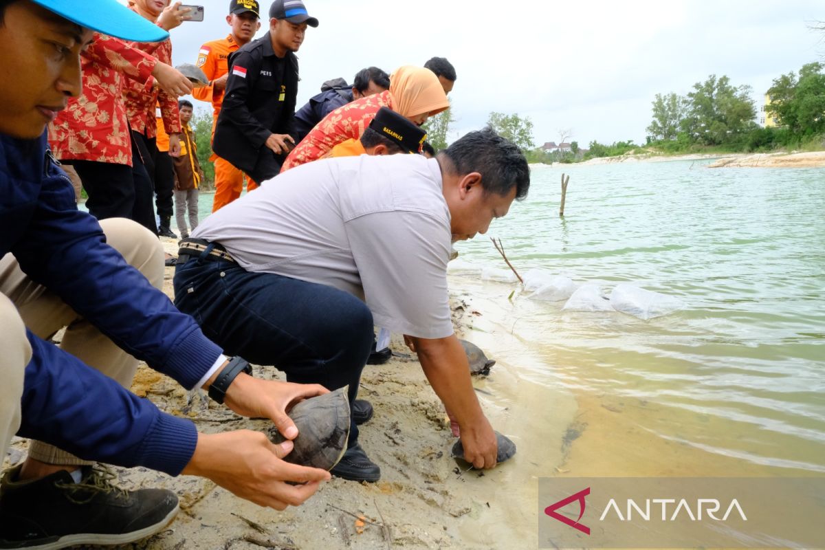 Basarnas Babel Kagum, Faba PLN Membuktikan Bisa Menaikan pH Air dan Sangat Efektif Netralisasi Sifat Asam