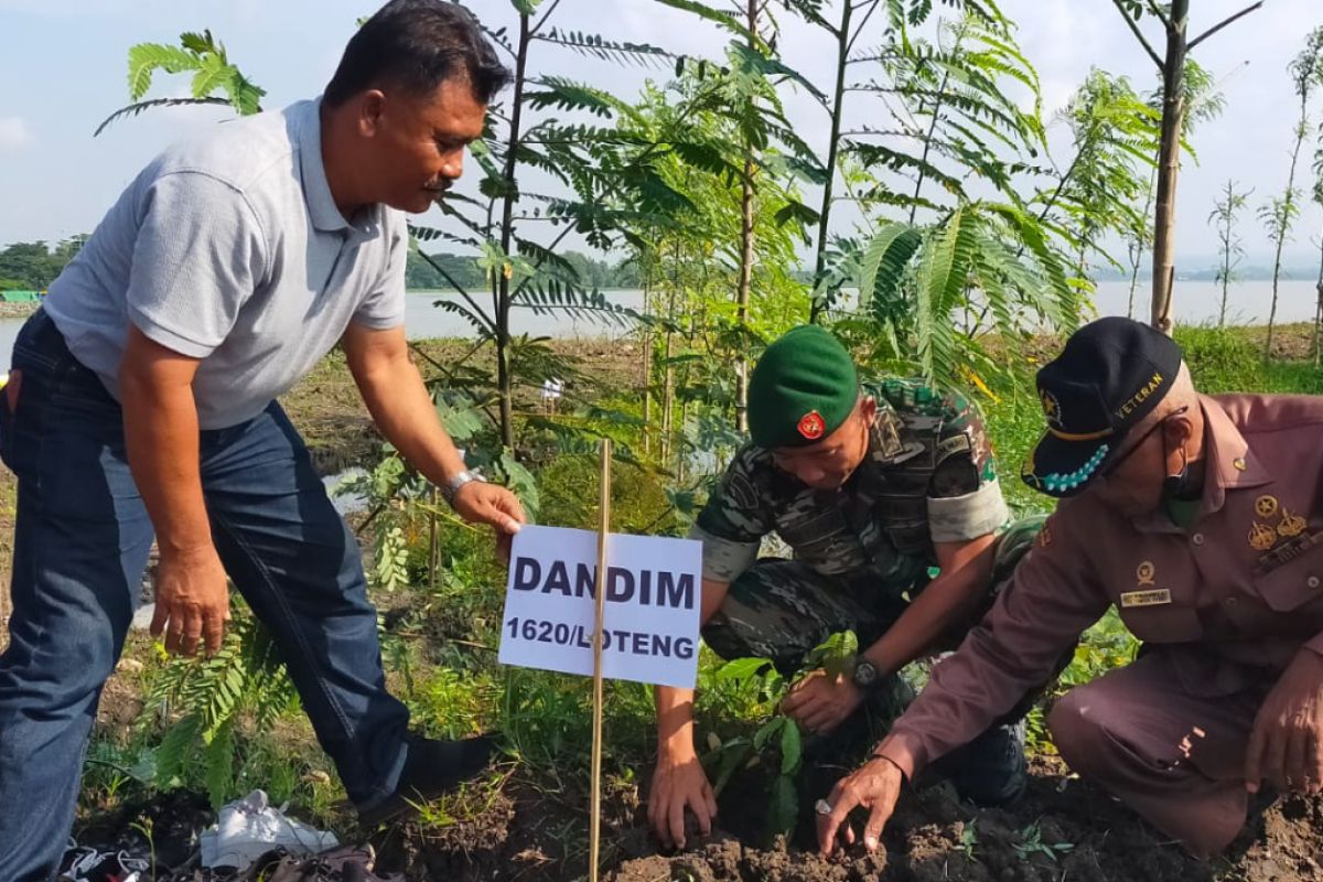 Dandim Lombok Tengah menanam pohon cegah pemanasan global