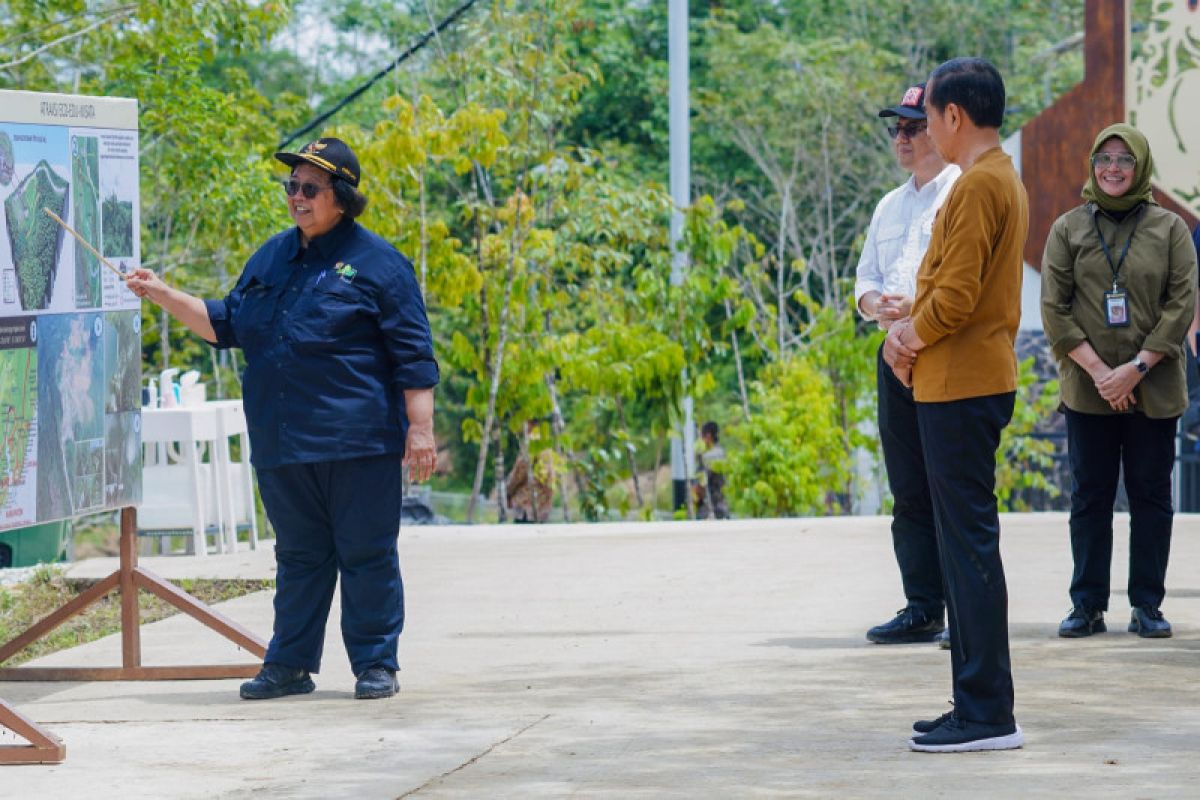 Menteri LHK: Pemerintah sedang bangun hutan hujan tropis alami di IKN