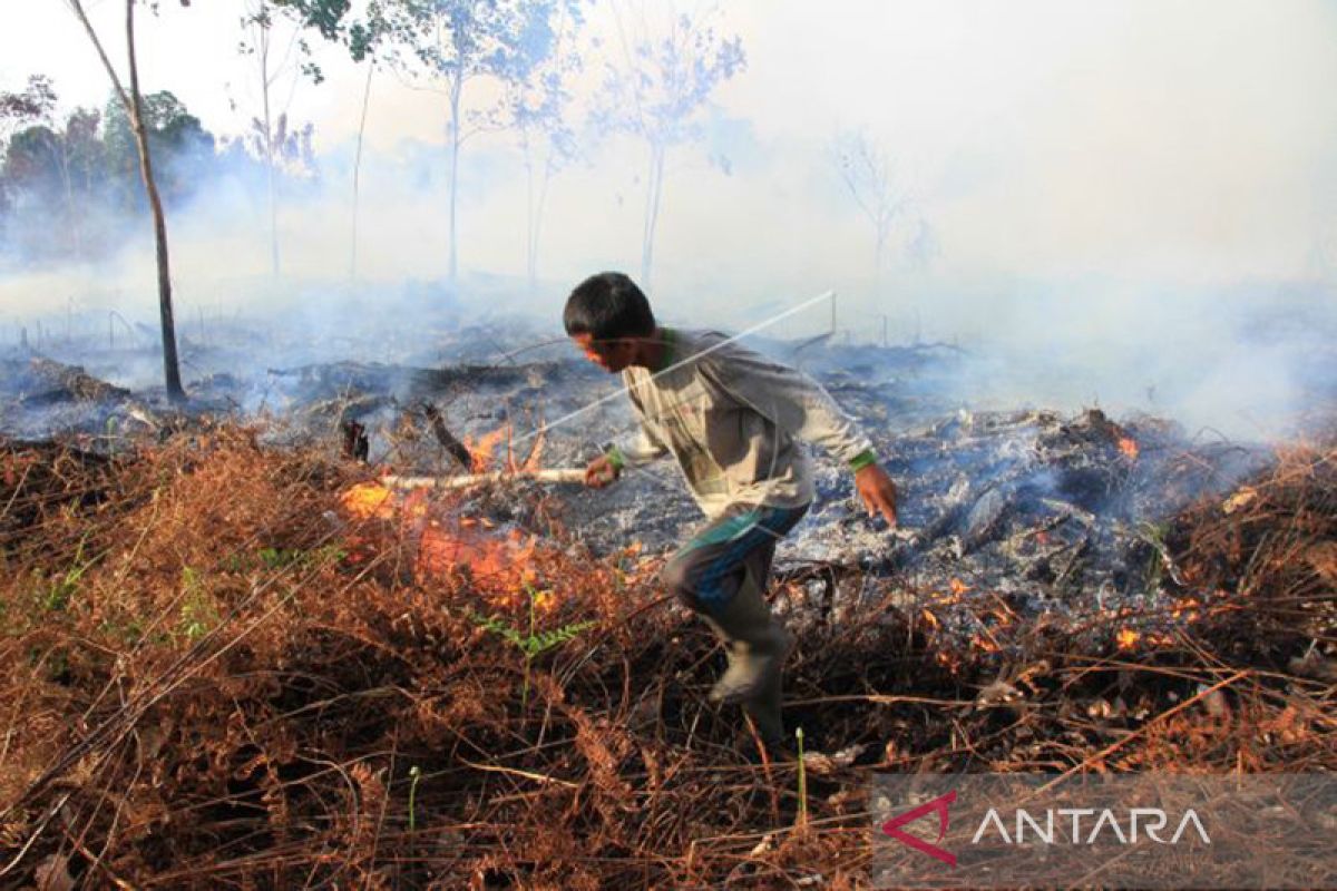 Aceh mulai musim kemarau, BMKG: waspada kebakaran hutan dan lahan