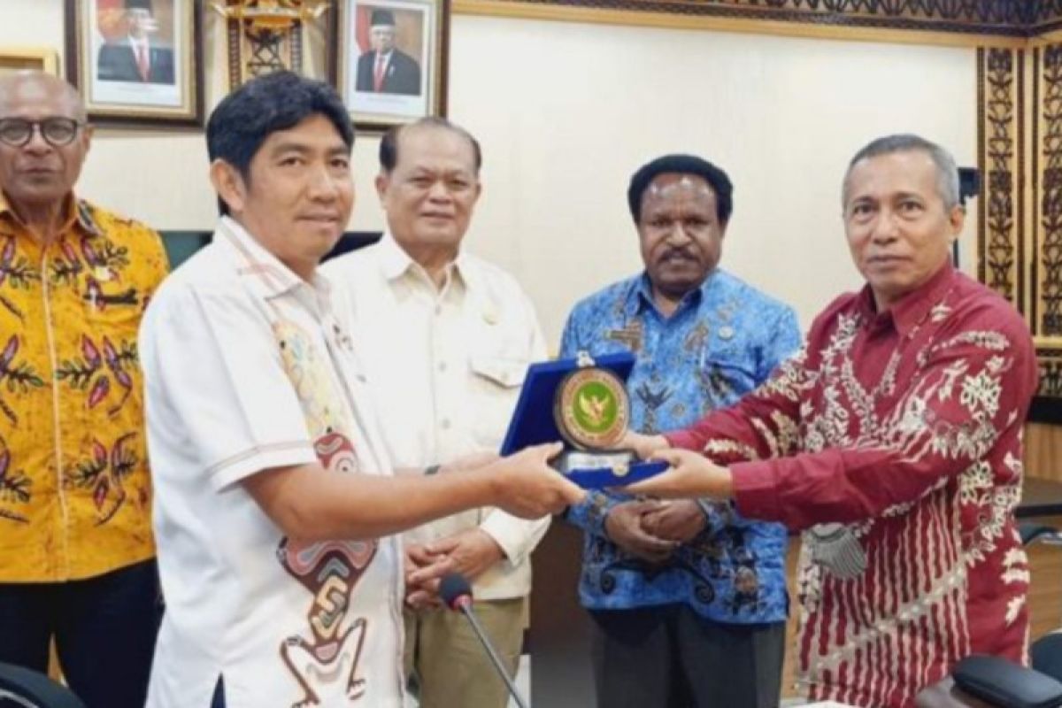 DEN sebut Papua memiliki potensi besar pengembangan energi terbarukan