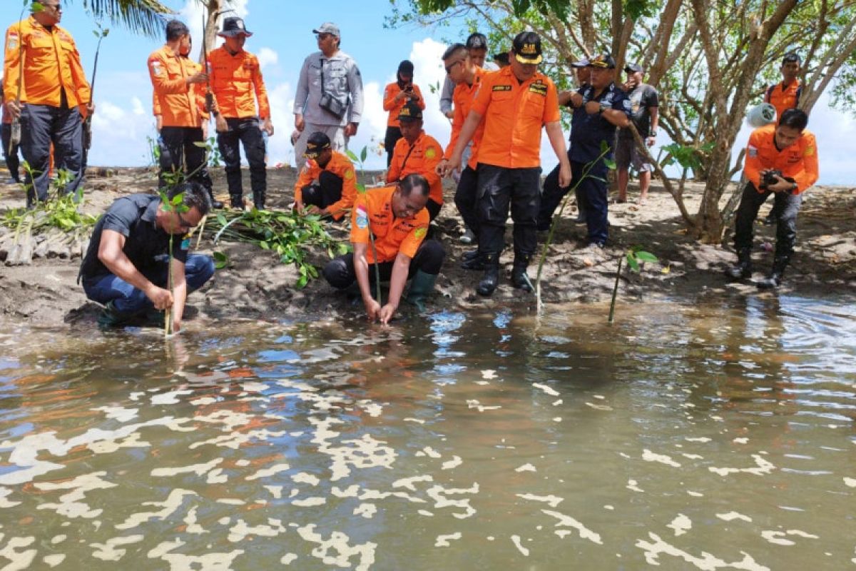 Basarnas Manado tanam 200 mangrove di Likupang Timur