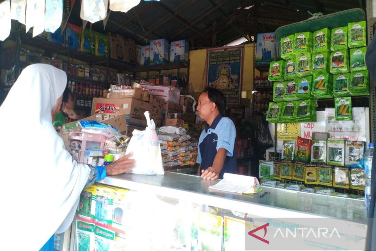 Petani Kotabaru keluhkan harga pupuk non subsidi semakin mahal
