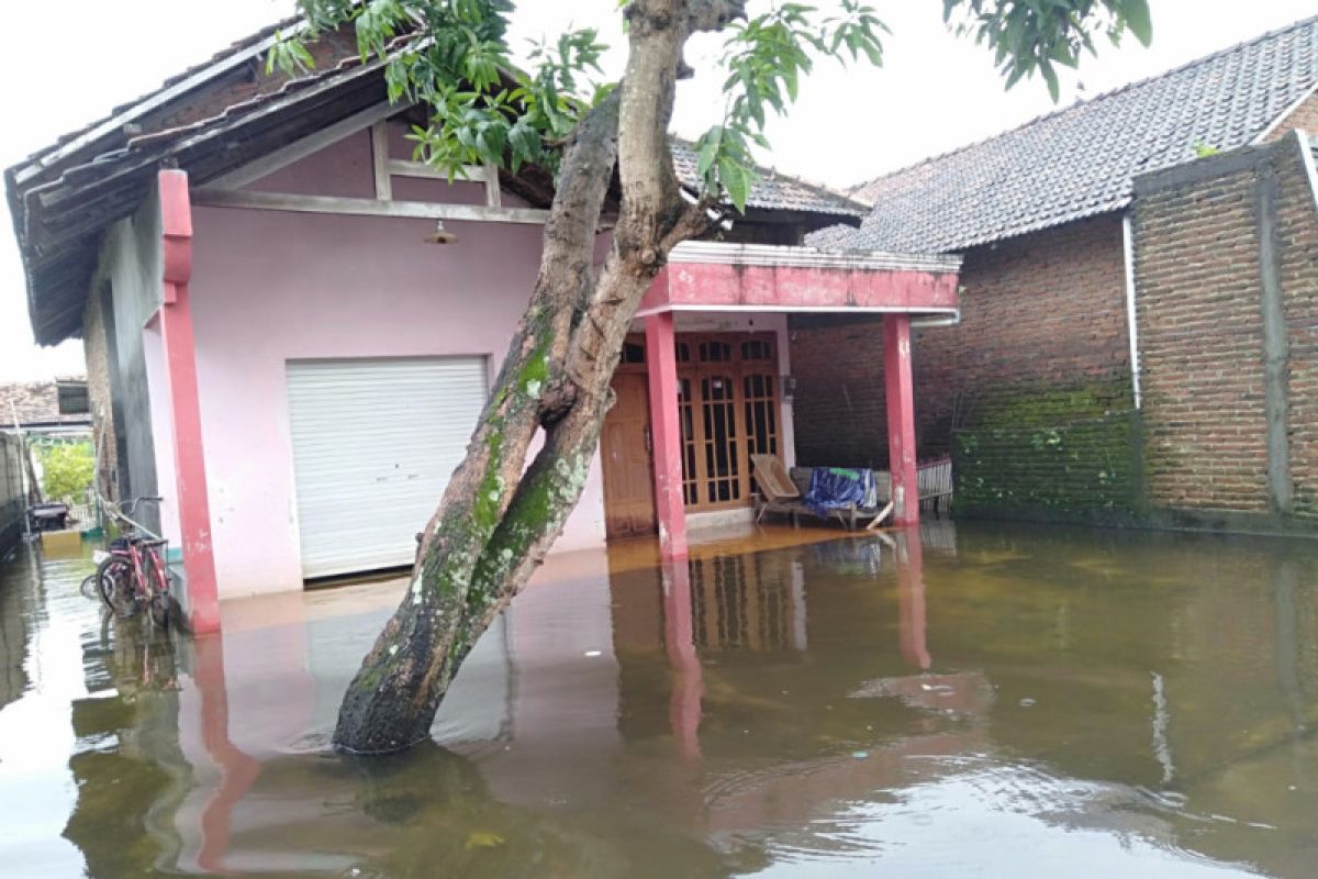 Delapan desa di Kudus dilanda banjir akibat curah hujan tinggi