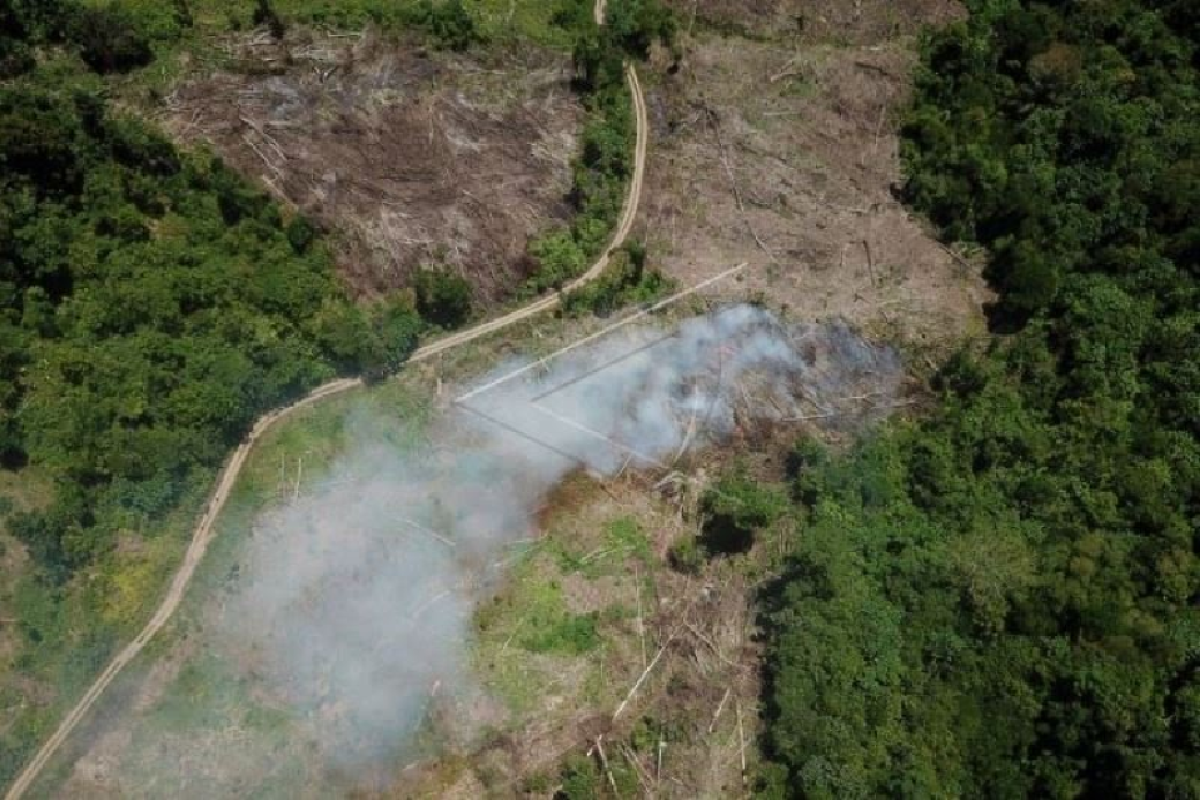Kata Wali Nanggroe, Hutan Aceh alami pengundulan 10 ribu hektare per tahun