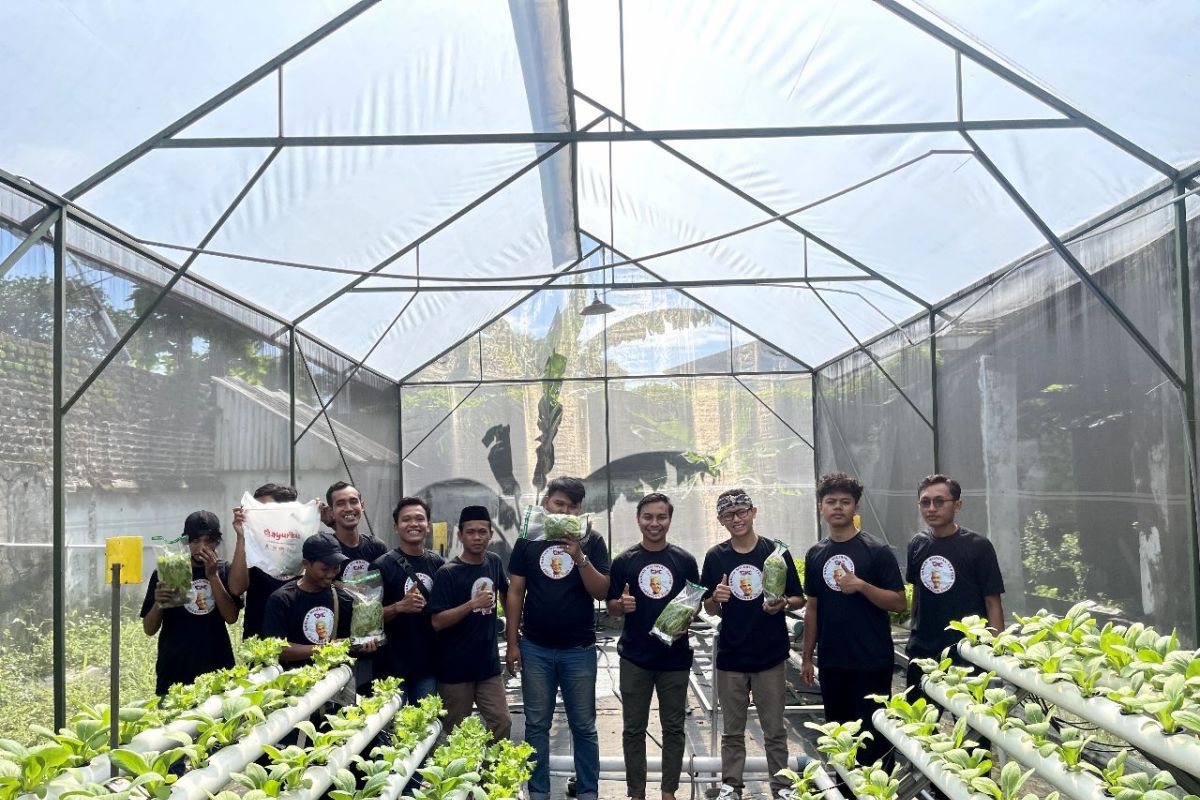 Kenalkan sistem pertanian, GMC Pasuruan bagi-bagi sayur hidroponik ke warga