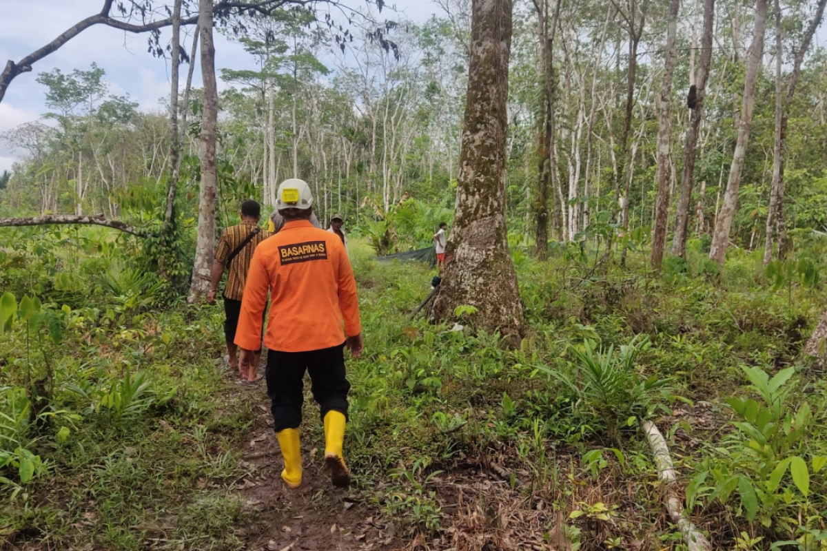 Seorang nenek hilang di hutan karet Sungai Asam