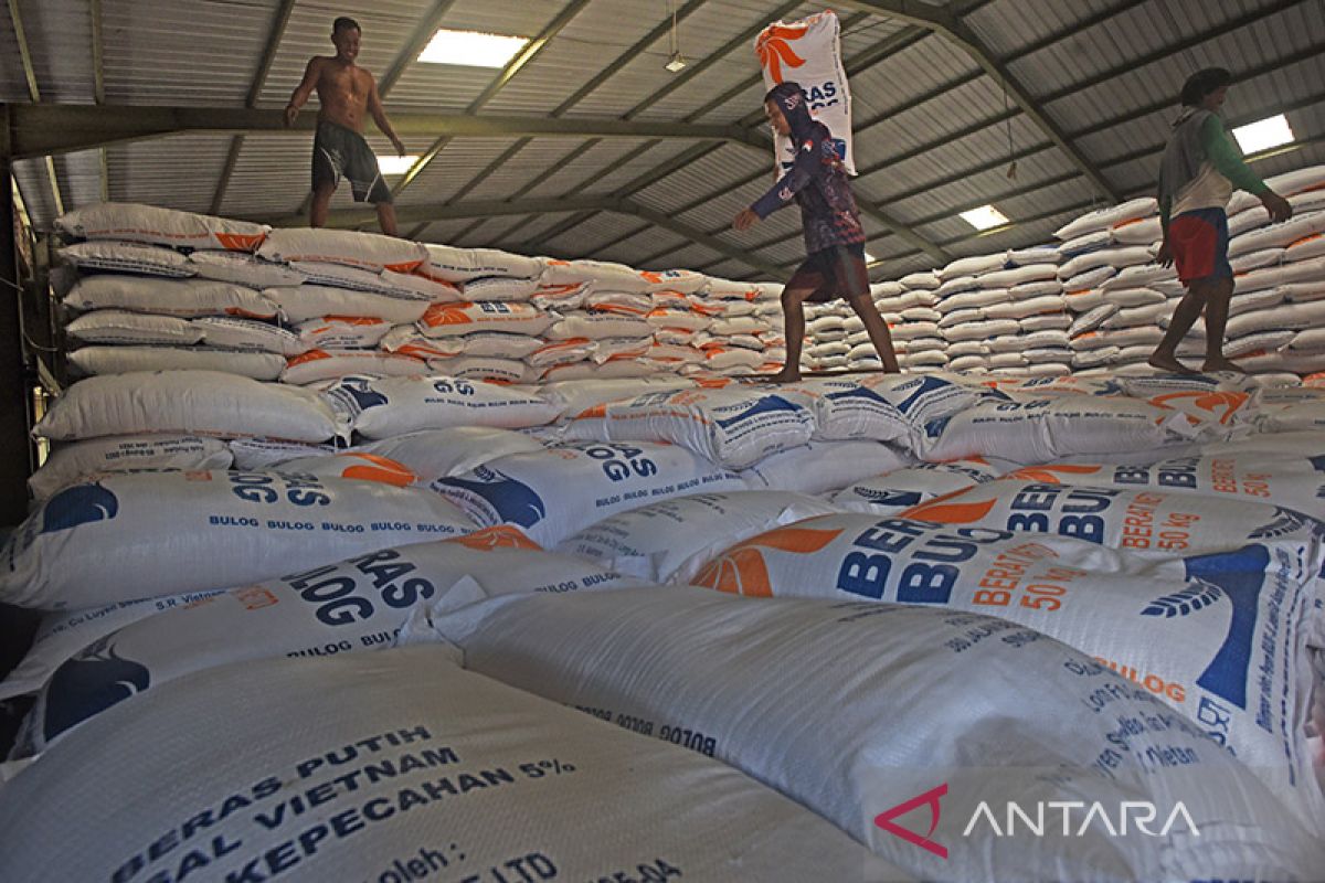 Lika-liku menjaga pasokan beras nasional