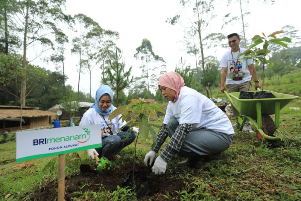 Memberi Makna Indonesia, Simak Sederet Capaian BRI Terus Tebarkan Social Values