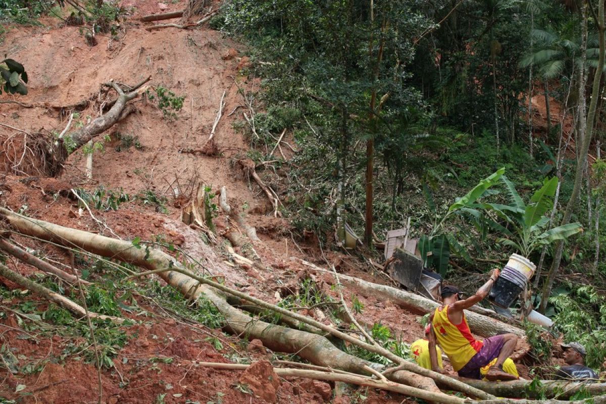 Korban tewas akibat tanah longsor di Brazil bertambah jadi 65 orang