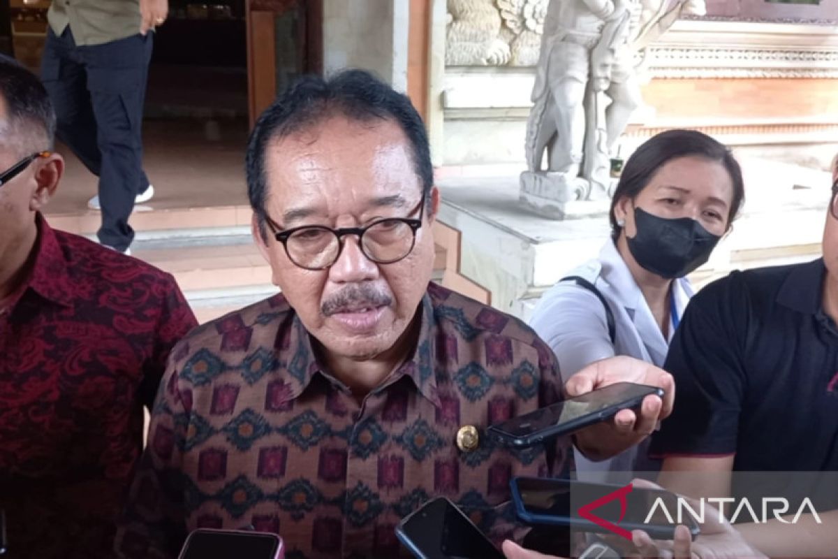 Wagub Bali tanggapi maraknya pekerja asing pariwisata di Pulau Dewata