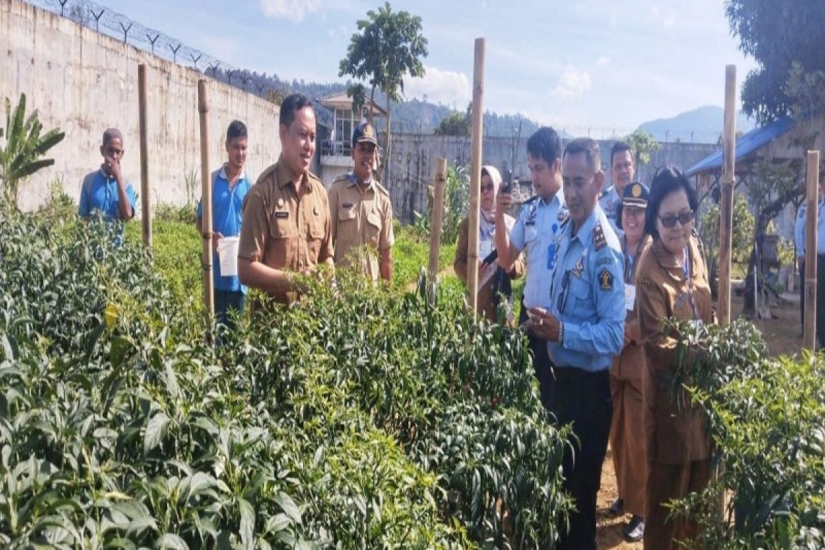 Dinas Pertanian Tapteng bersama Lapas kelas II A Sibolga panen cabai merah.