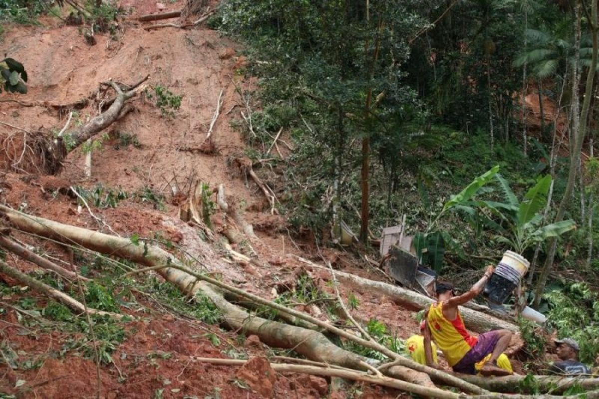 Jumlah korban tewas akibat tanah longsor di Brazil bertambah jadi 65 orang