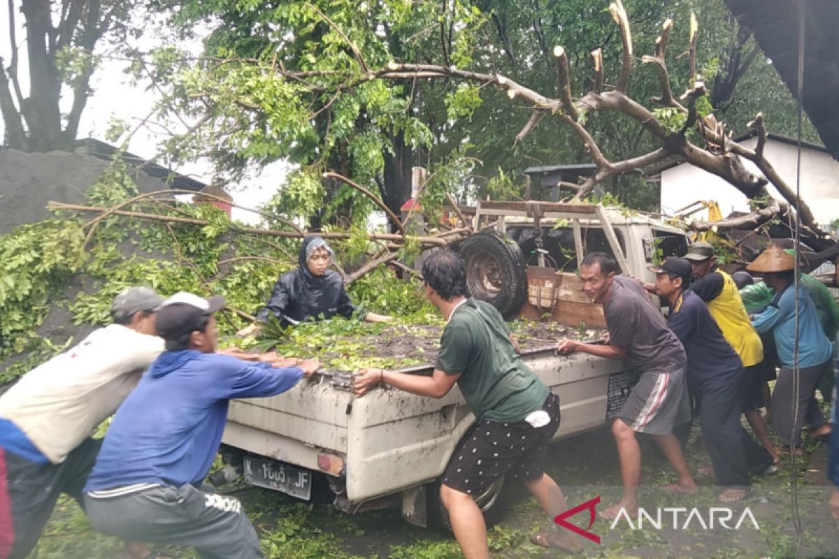 BPBD Kudus evakuasi tiga pohon tumbang yang timpa mobil dan  toko