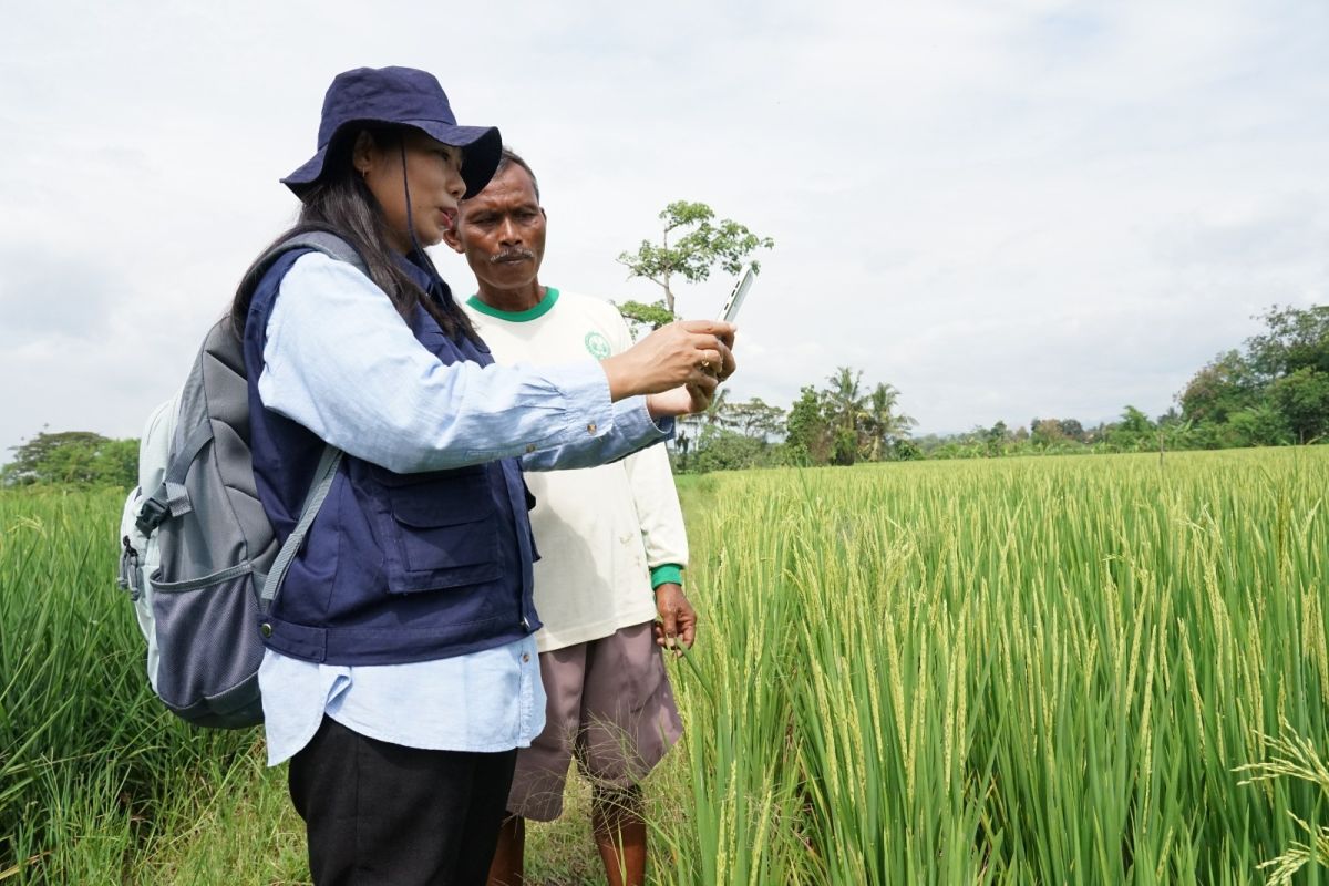Indonesia launches national strategy for digitizing agriculture