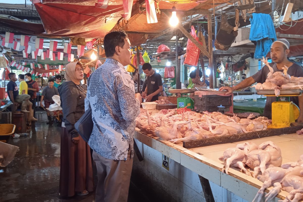 Harga ayam pedaging di Kota Pontianak turun Rp4.000 per kilogram