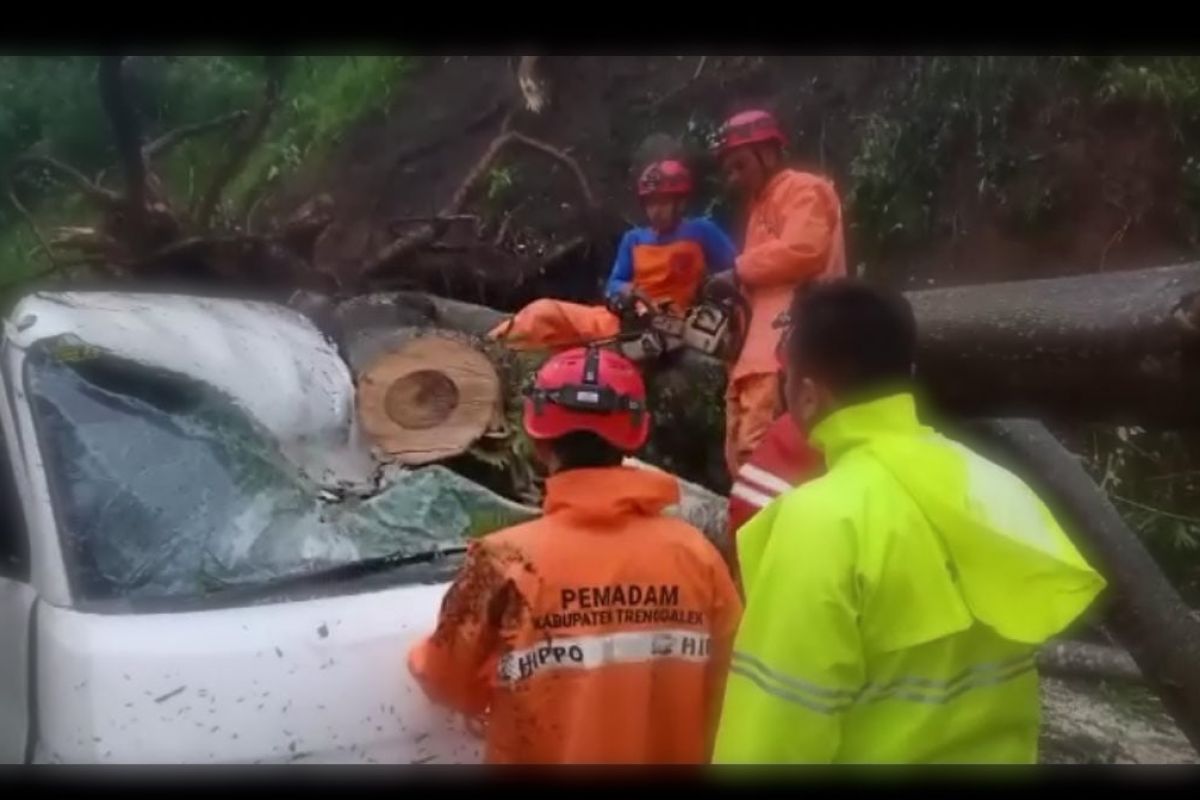 BPBD Trenggalek imbau warga waspada potensi angin kencang