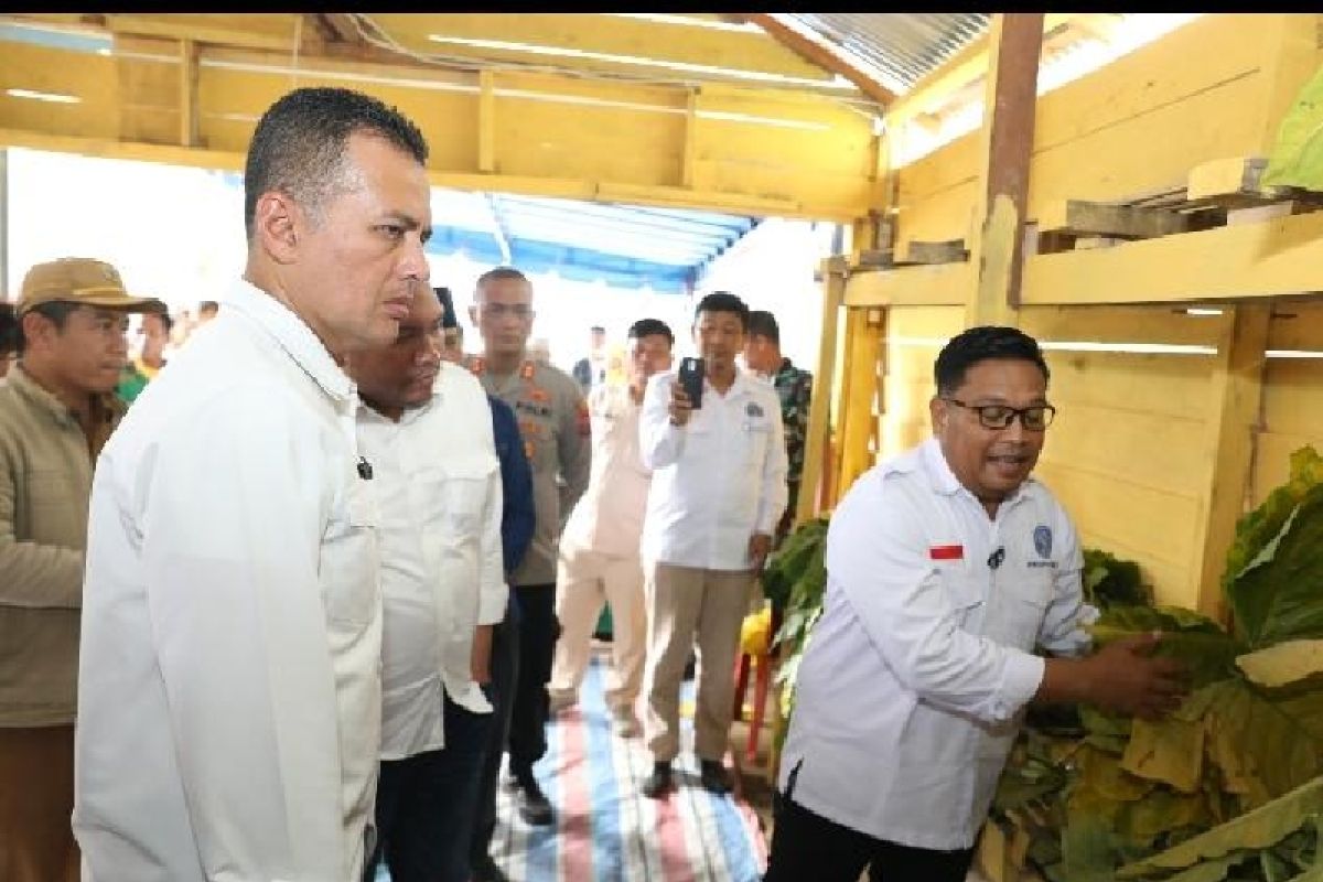 Wagub Sumut minta Bupati Pakpak Bharat dorong budi daya talas beneng