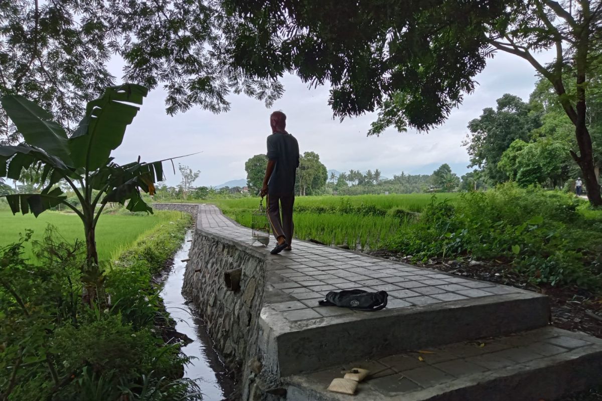 Pemkot Mataram akan membangun Agrowisata "Penan Paradise" di Udayana