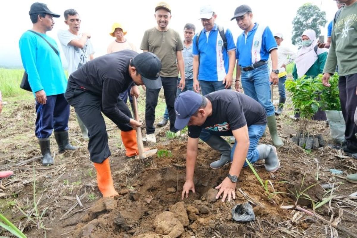 Pemkab Banyuwangi terus gencarkan konservasi untuk penanganan banjir