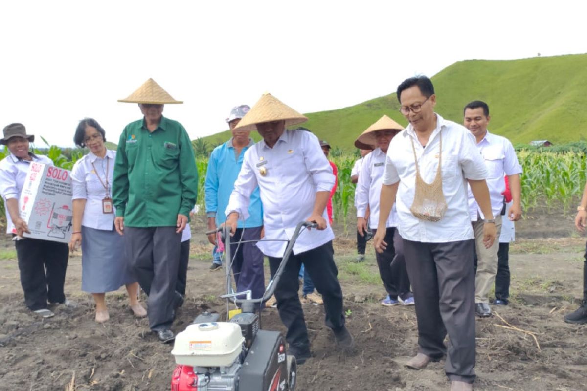 Jayapura Luncurkan Gerakan Tanam Cabai Dan Bawang Merah Antara News Mataram Berita Ntb Terkini 