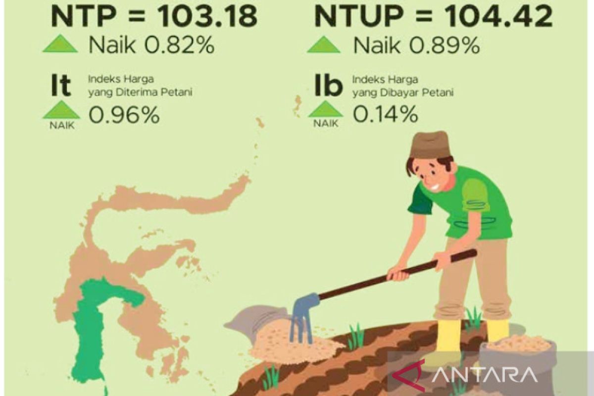 BPS: Tingkat kesejahteraan petani Sulsel  semakin membaik