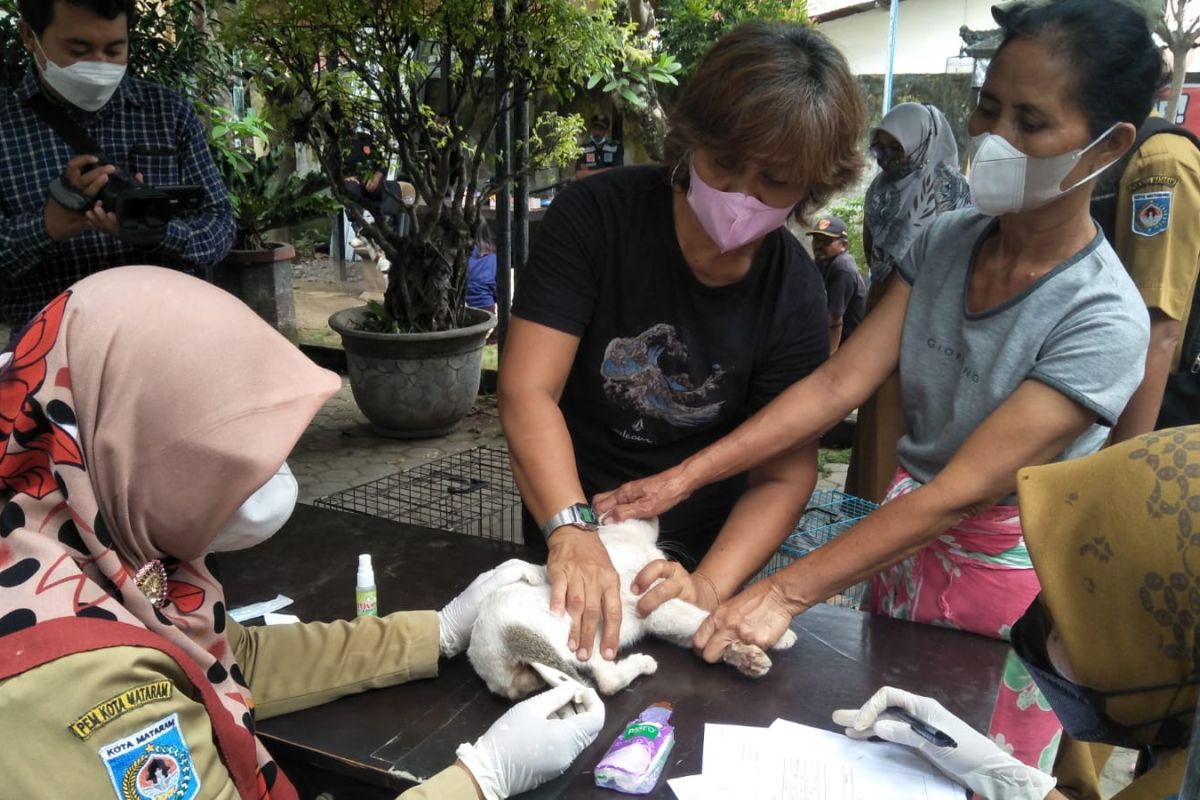 Distan Mataram akan melakukan vaksinasi rabies untuk anjing