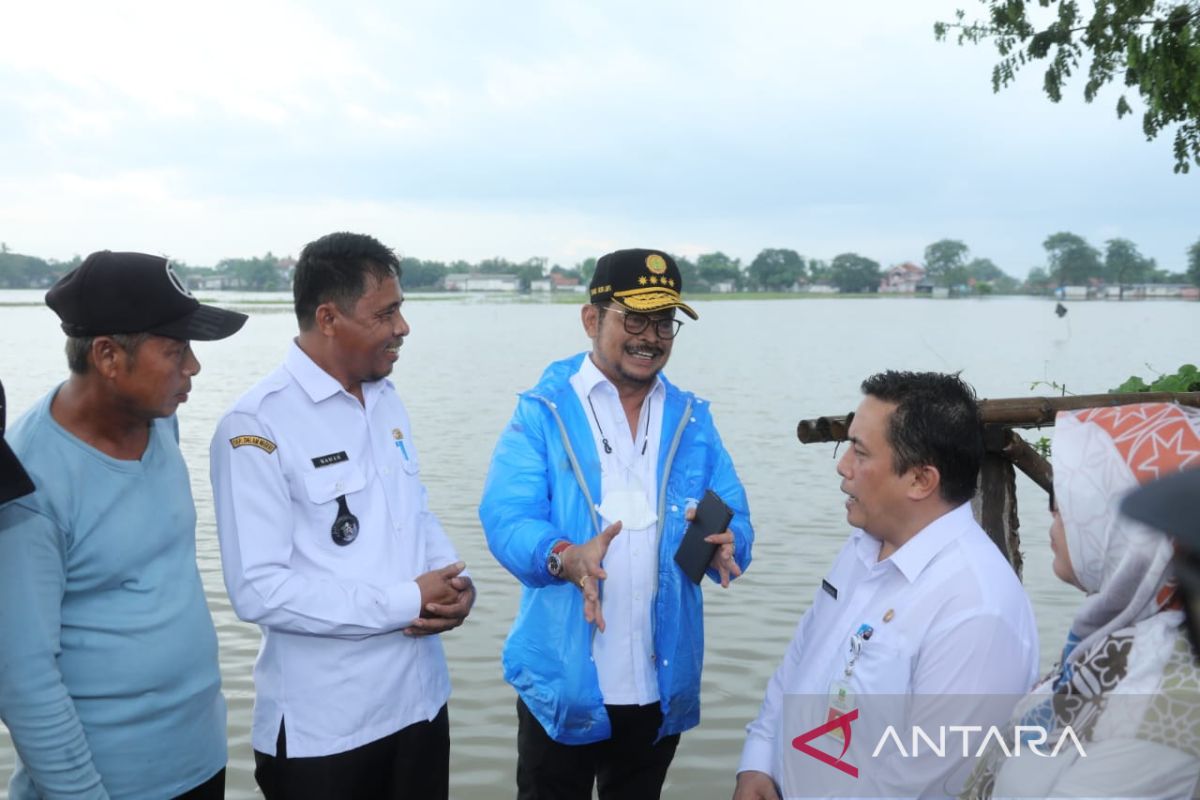 Mentan SYL minta jajarannya percepat pemulihan sawah banjir di Bekasi